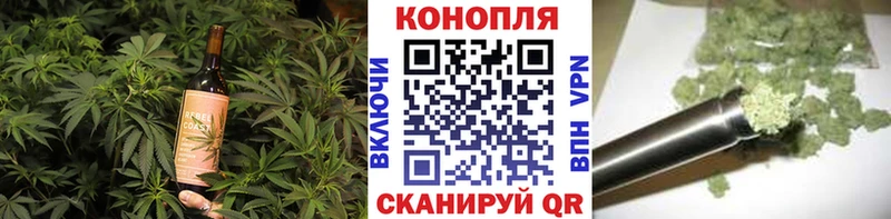 Купить где  Новоалтайск  Cannafood конопля 