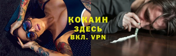 МДПВ Карпинск