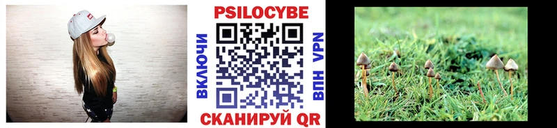 Купить где Новоалтайск Псилоцибиновые грибы Psilocybine cubensis